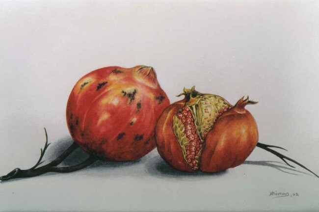 Pittura intitolato "pomagranates 12" da Thomai Kontou, Opera d'arte originale, Altro