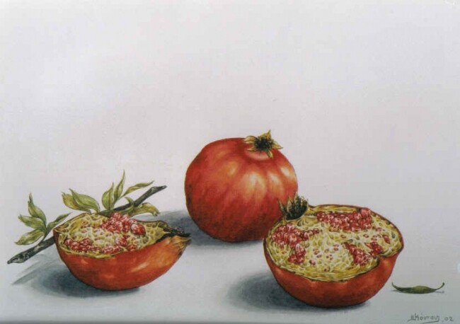 제목이 "pomagranates 1"인 미술작품 Thomai Kontou로, 원작, 다른