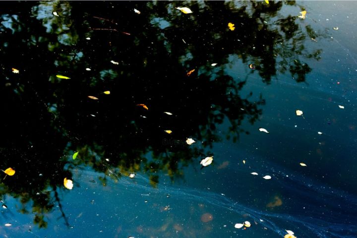 Photographie intitulée "evening / soir" par Thomas Collignon, Œuvre d'art originale, Photographie numérique