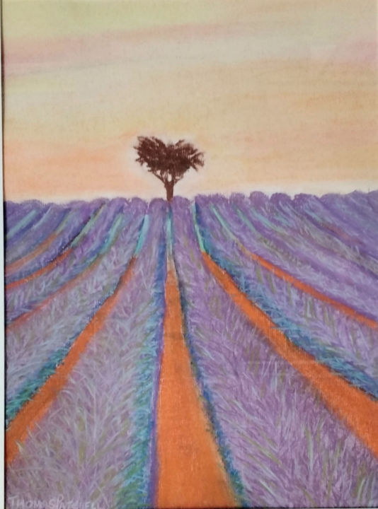 Schilderij getiteld "Lone Tree in Lavend…" door Thomas Patchell, Origineel Kunstwerk, Pastel