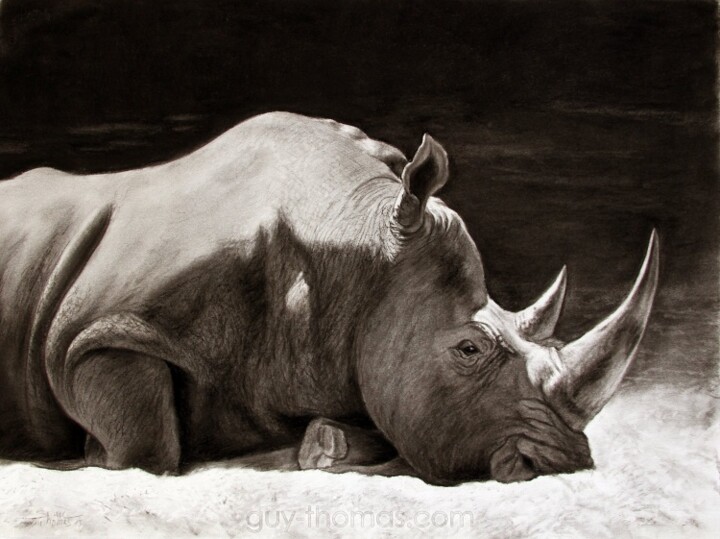 Zeichnungen mit dem Titel "Little Rhino" von Thomas Rodet, Original-Kunstwerk, Kohle