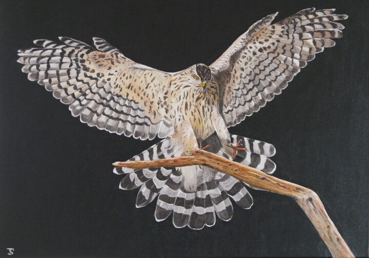Ζωγραφική με τίτλο "Hawk" από Thomas Svoboda, Αυθεντικά έργα τέχνης, Λάδι