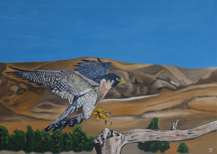 Painting titled "Falcon" by Thomas Svoboda, Original Artwork, Oil