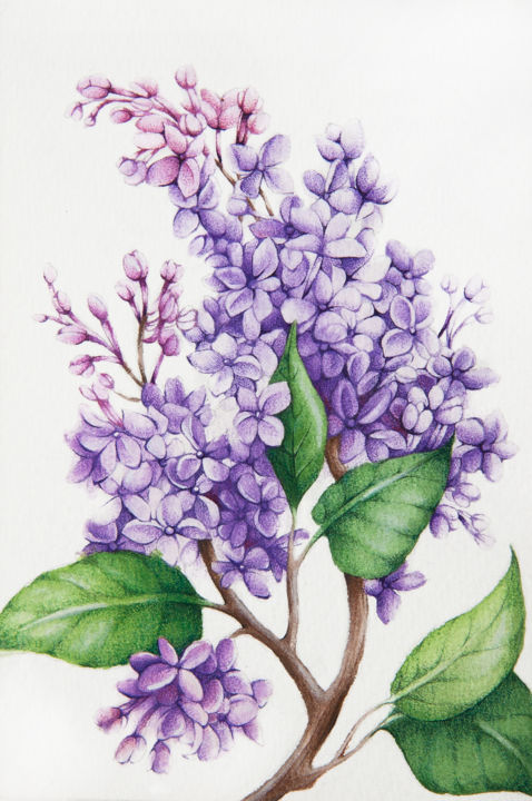 Peinture intitulée "Lilac" par Tanya Azarchik, Œuvre d'art originale, Aquarelle