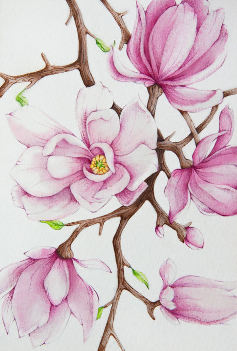 Peinture intitulée "Magnolia" par Tanya Azarchik, Œuvre d'art originale, Aquarelle