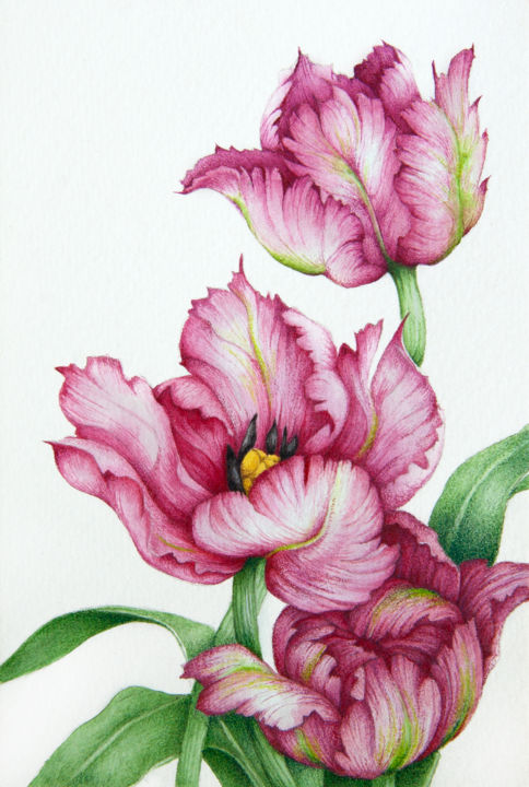 Painting titled "Red parrot tulips" by Tanya Azarchik, Original Artwork, Watercolor