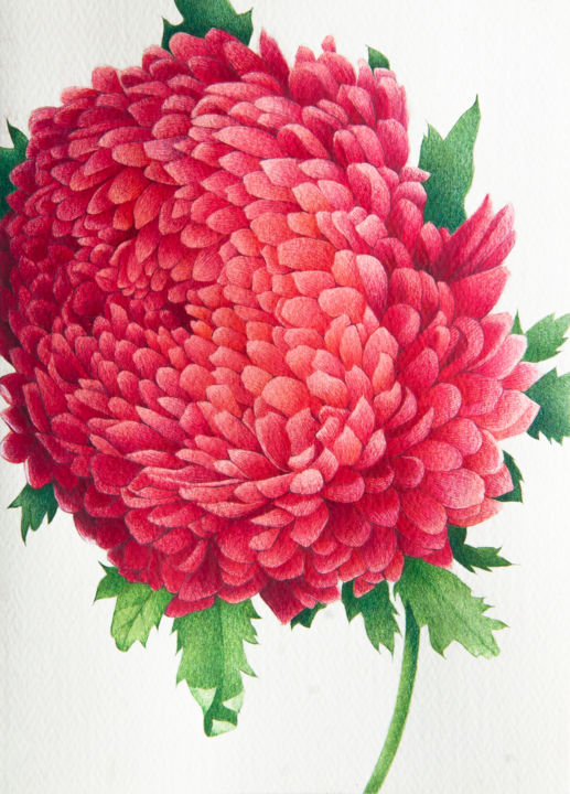 Peinture intitulée "Chrysanthemum" par Tanya Azarchik, Œuvre d'art originale, Aquarelle