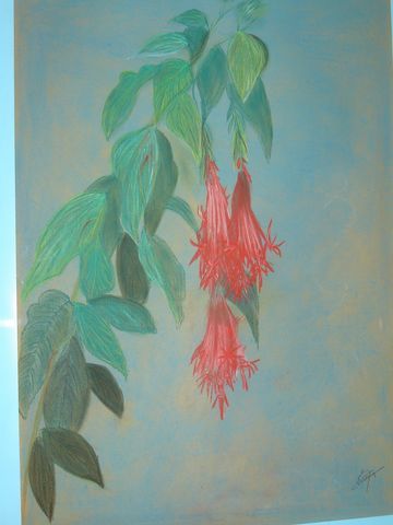 Peinture intitulée "Arbuste à Fleurs ro…" par Veronique Fpa, Œuvre d'art originale,