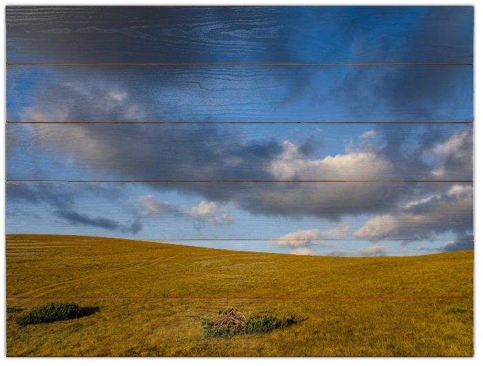 Photographie intitulée "Windows" par Alexandru Neagu, Œuvre d'art originale, Photographie numérique