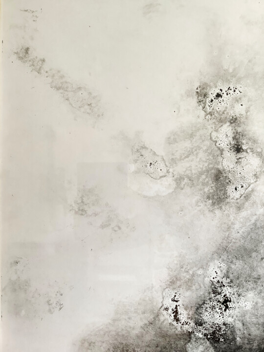 Obrazy i ryciny zatytułowany „Plasmographie III” autorstwa Timo Milke, Oryginalna praca, Srebrny nadruk