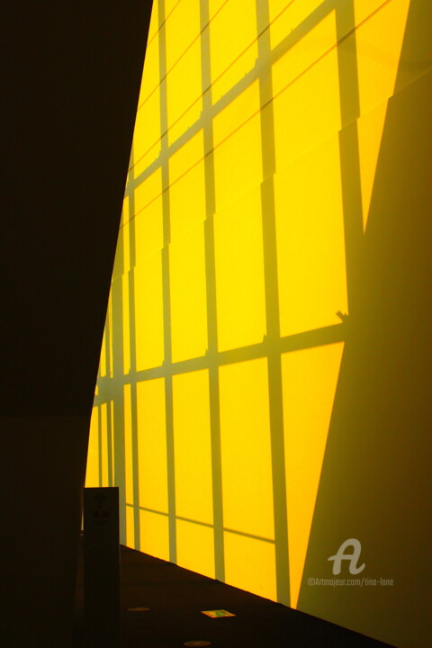 Photography titled "Grid on Yellow" by Tina Lane, Original Artwork