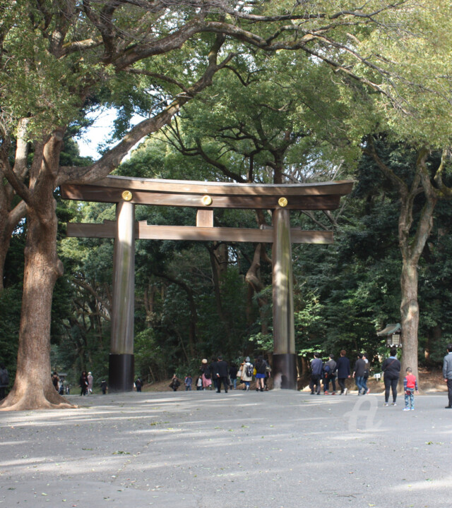 Photographie intitulée "Meiji Shrine Gate" par Tina Lane, Œuvre d'art originale, Photographie numérique