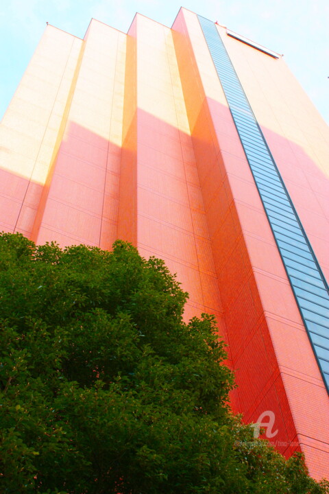 "Skyscraped" başlıklı Fotoğraf Tina Lane tarafından, Orijinal sanat, Dijital Fotoğrafçılık