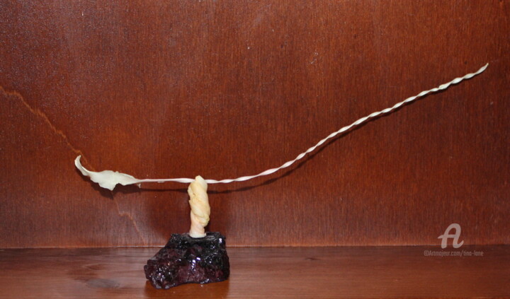 Installation intitulée "Dragon Skeleton" par Tina Lane, Œuvre d'art originale
