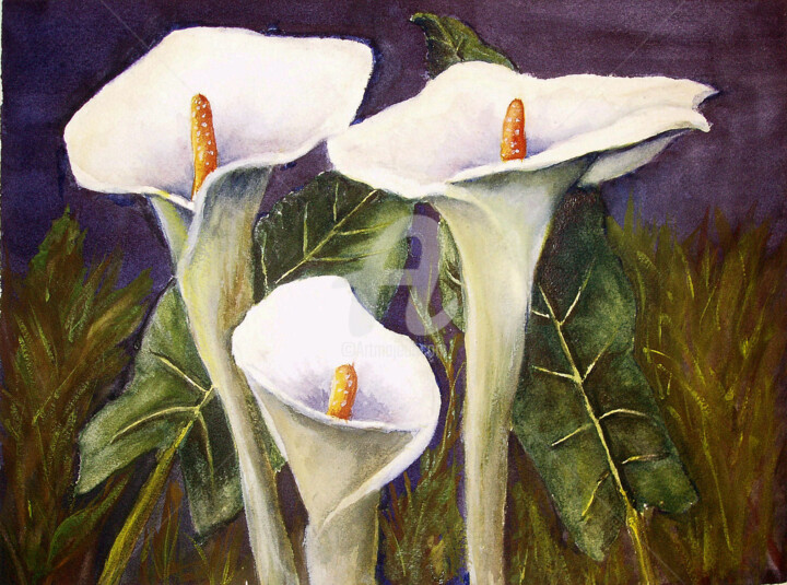 Painting titled "Arums" by Tina Verpoorten, Original Artwork, Watercolor