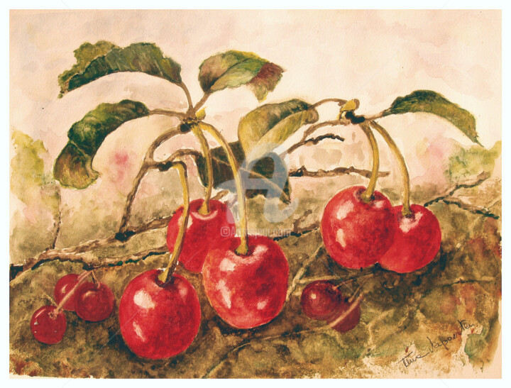 Painting titled "Cerises" by Tina Verpoorten, Original Artwork, Watercolor