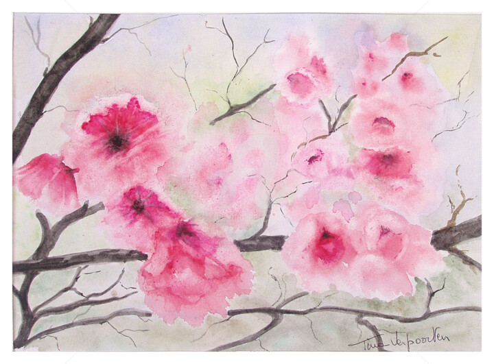 Peinture intitulée "Cerisiers en fleurs" par Tina Verpoorten, Œuvre d'art originale, Aquarelle