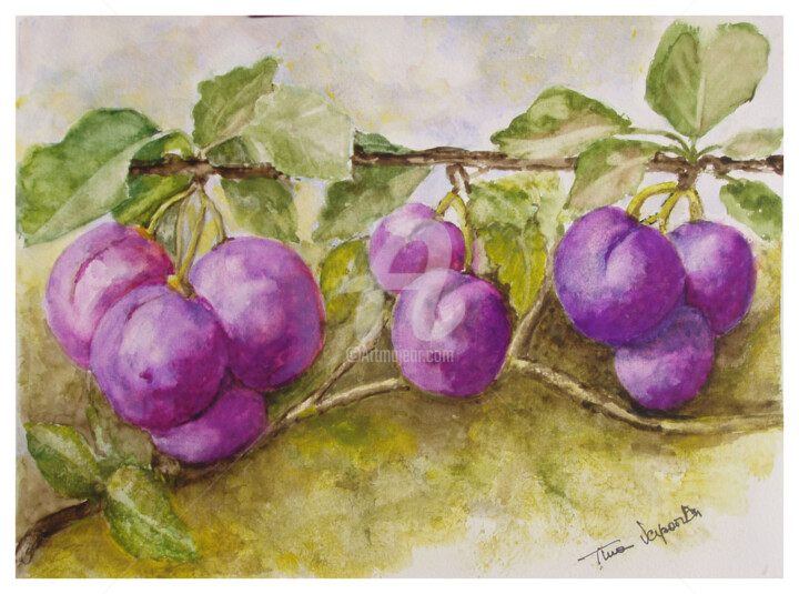 Peinture intitulée "Des prunes" par Tina Verpoorten, Œuvre d'art originale, Aquarelle
