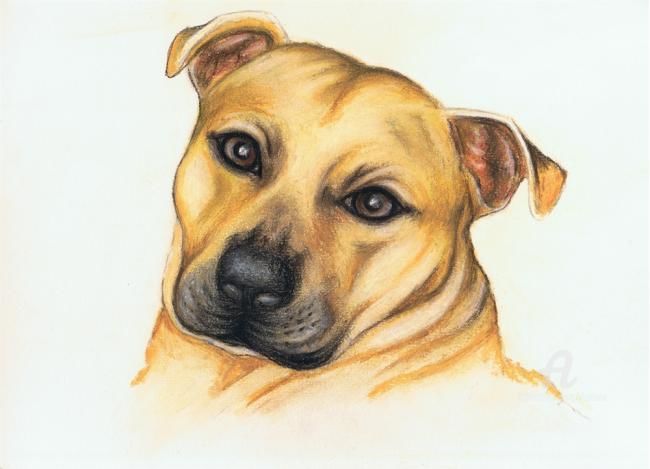 Drawing titled "Buster" by Tina Lane, Original Art, Other