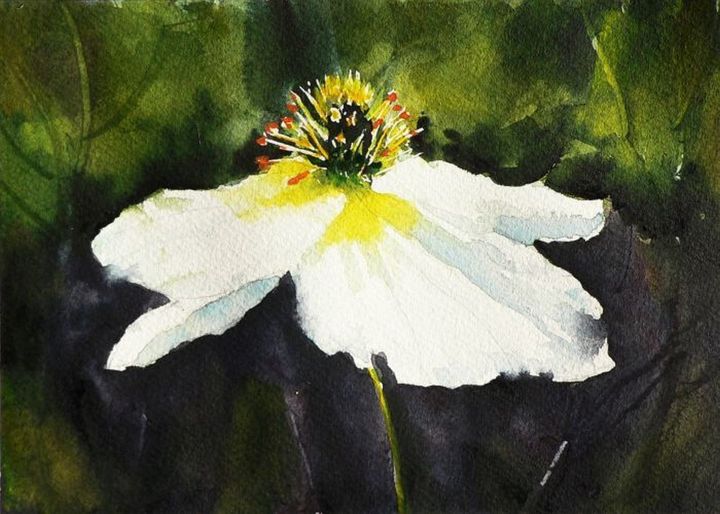 Painting titled "Peonia" by Tito Fornasiero, Original Artwork, Watercolor