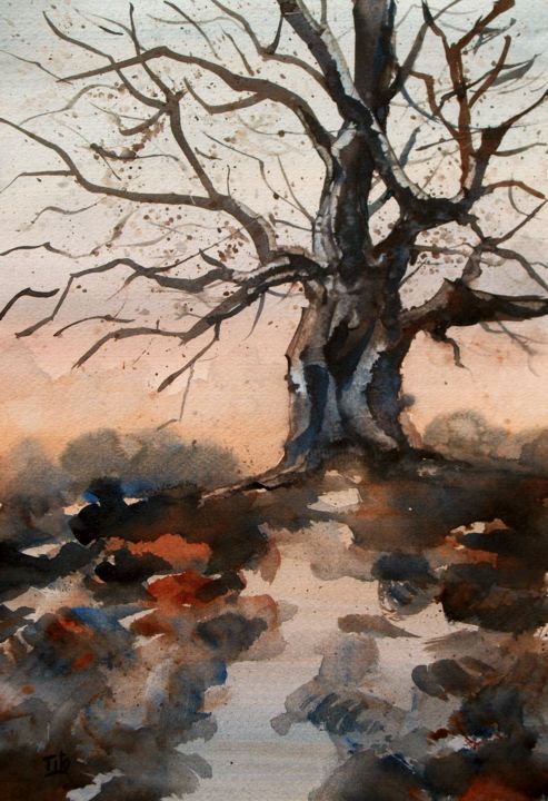 Pittura intitolato "Il vecchio albero" da Tito Fornasiero, Opera d'arte originale, Acquarello