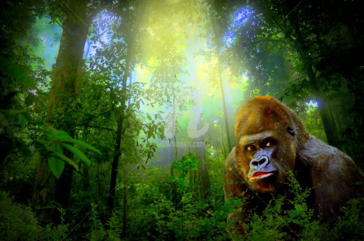 Digital Arts με τίτλο "Gorilla." από Tito Villa, Αυθεντικά έργα τέχνης, Ψηφιακή ζωγραφική