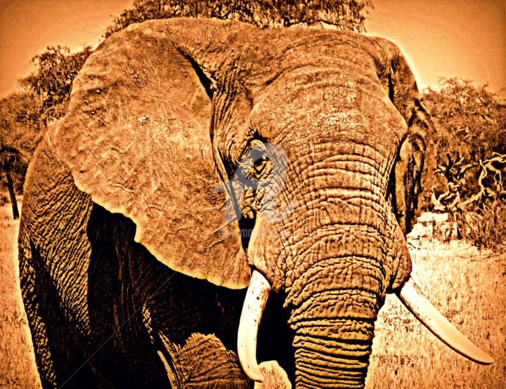 Digital Arts titled "Elephant." by Tito Villa, Original Artwork, Digital Painting