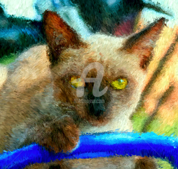 Artes digitais intitulada "Chat bleu." por Tito Villa, Obras de arte originais, Pintura digital