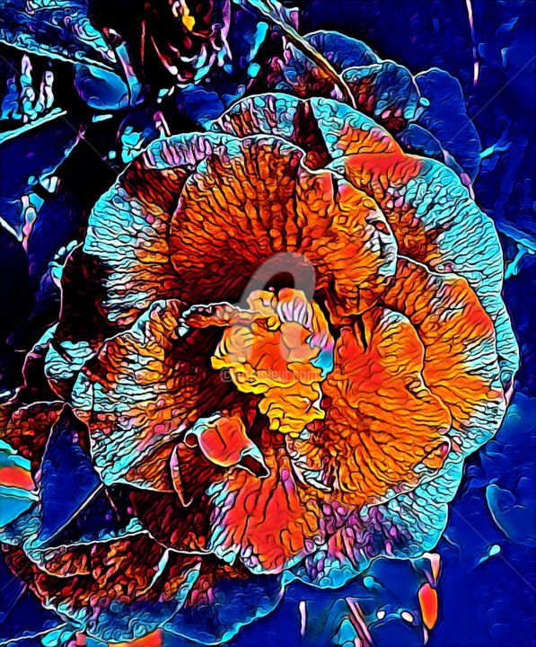 Theaceae Camelia Bleu., Digital Arts by Tito Villa | Artmajeur