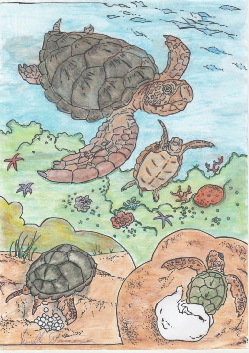 Disegno intitolato "tartarughe.jpg" da Tiziana Visalli, Opera d'arte originale
