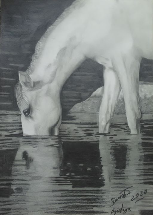 Drawing titled "Cavalo 1" by David Duarte, Original Artwork, Graphite Mounted on Other rigid panel