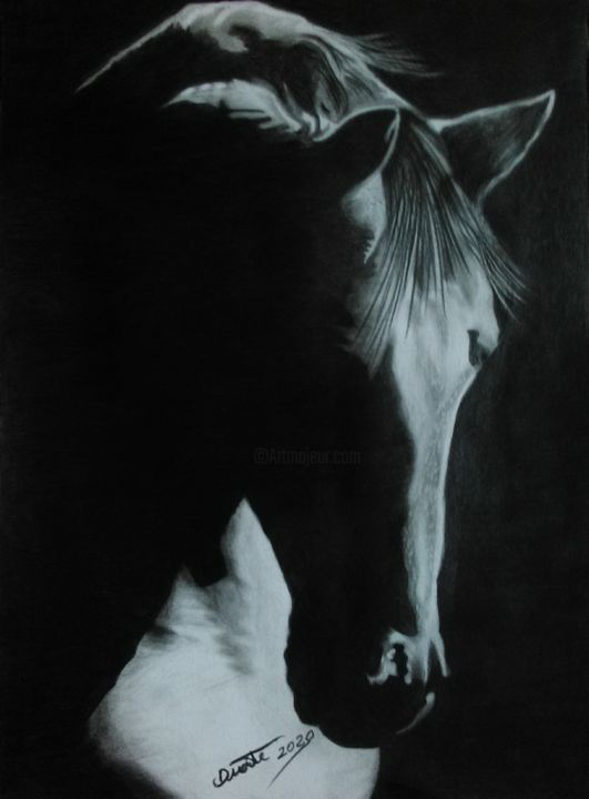 Drawing titled "cavalo 2" by David Duarte, Original Artwork, Graphite Mounted on Other rigid panel