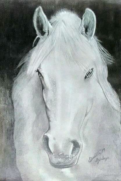 Drawing titled "cavalo" by David Duarte, Original Artwork, Graphite Mounted on Other rigid panel