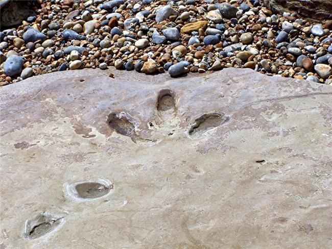 Fotografía titulada "Footprints In stone" por Mick Bean, Obra de arte original