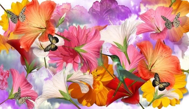 Digital Arts titled "flower collage" by Todd Amen, Original Art, Collages