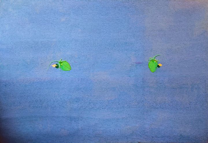 Painting titled "Wild strawberry mea…" by Antuan Anton Antosha, Original Art, Oil