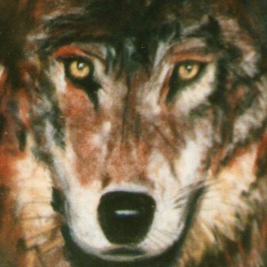 Drawing titled "Le Loup" by Toine, Original Artwork, Pastel