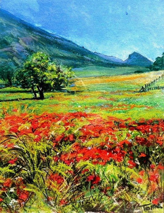 Painting titled "Coquelicots" by Toine, Original Artwork, Oil