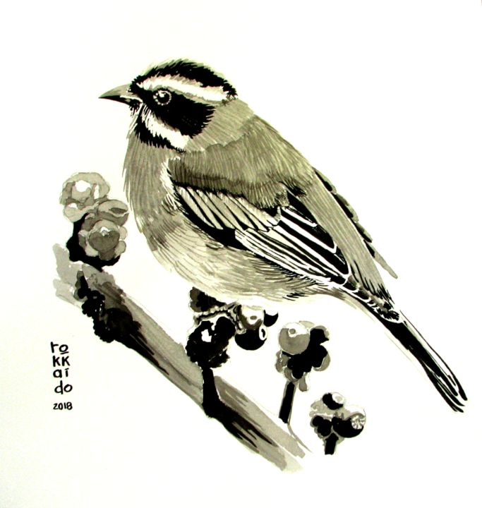 Dibujo titulada "Bird in Ink" por Tokkaido, Obra de arte original, Tinta