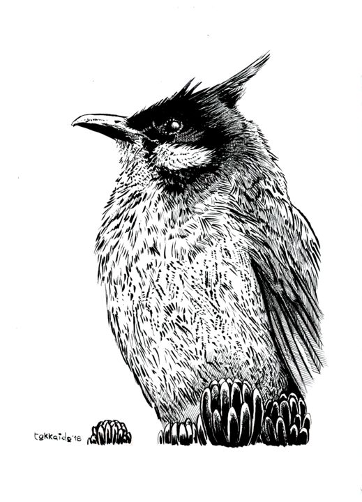 Zeichnungen mit dem Titel "Bird II india ink o…" von Tokkaido, Original-Kunstwerk, Tinte