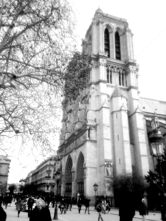 Photography titled "Notre Dame de Paris…" by Tol Dana, Original Artwork