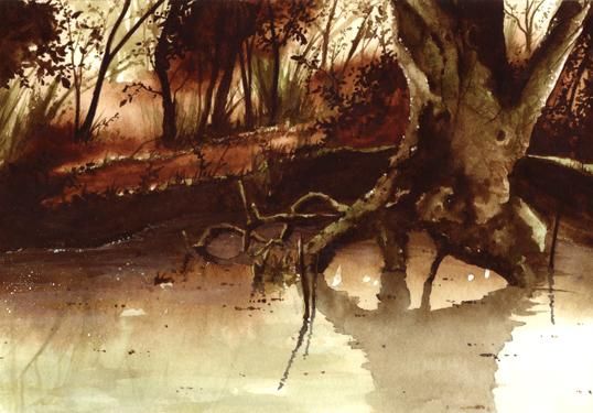 Peinture intitulée "Lits de rivières" par Toma, Œuvre d'art originale