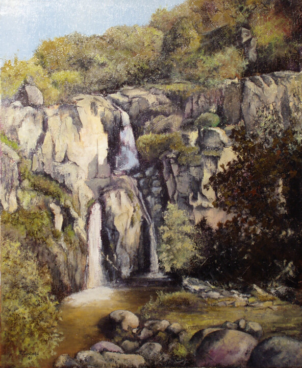 Painting titled "Fermoselle-Cascada…" by Tomás Castaño, Original Artwork, Oil