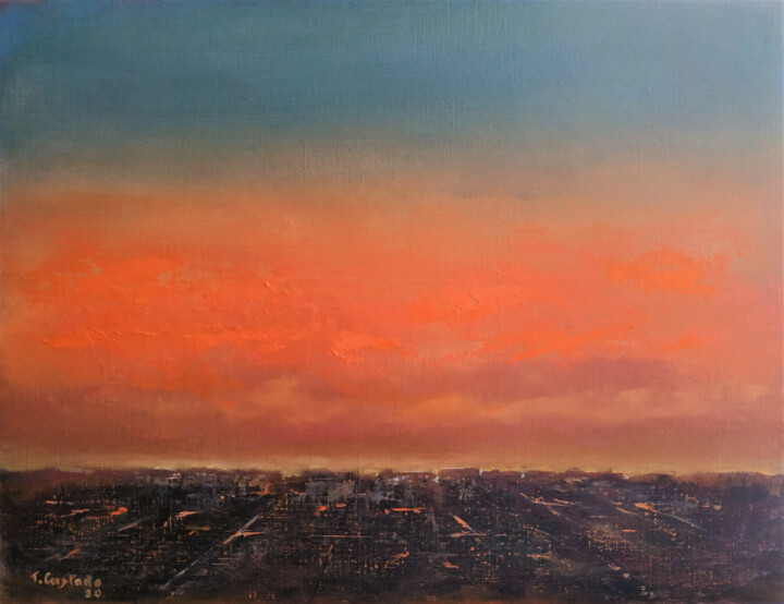 Painting titled "A vista de pájaro" by Tomás Castaño, Original Artwork, Oil