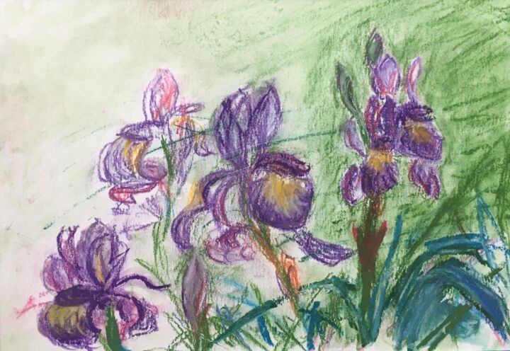 Dessin intitulée "Irises" par Tomas Mudra, Œuvre d'art originale, Pastel