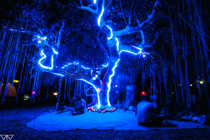 Photography titled "Tree LightYear" by Tomás Vieira, Original Art, Digital Photography