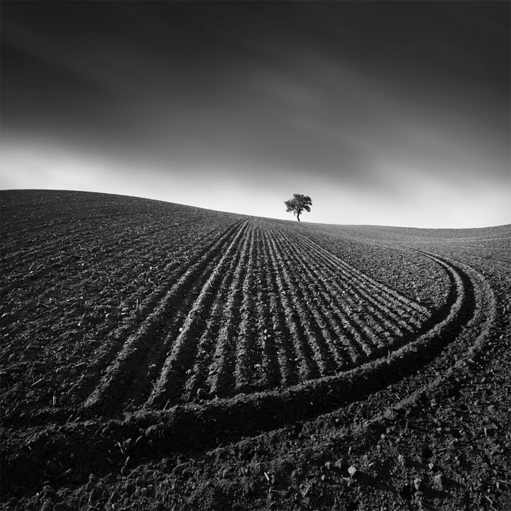 Photography titled "Radius" by Tomáš Tisoň, Original Art, Digital Photography