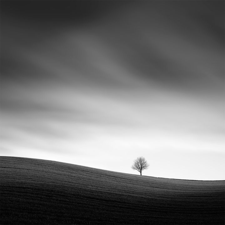 Photography titled "Alone in the fields" by Tomáš Tisoň, Original Artwork, Digital Photography