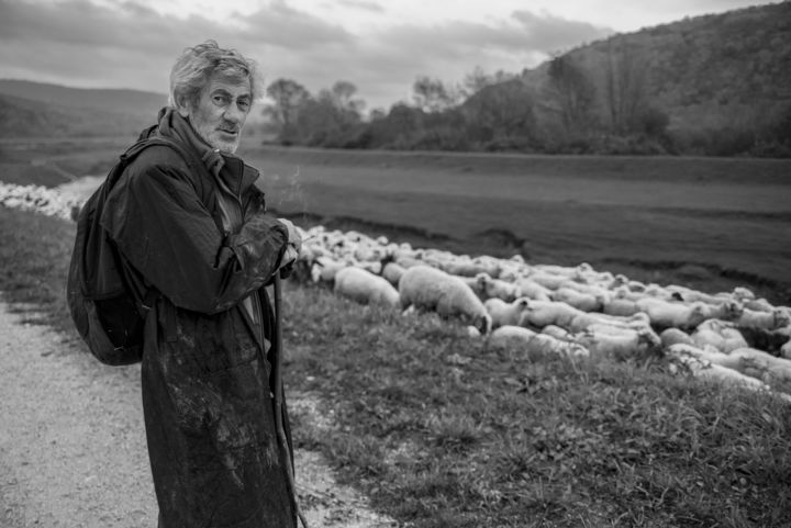 Fotografie getiteld "The lonely shepperd" door Tomicko, Origineel Kunstwerk