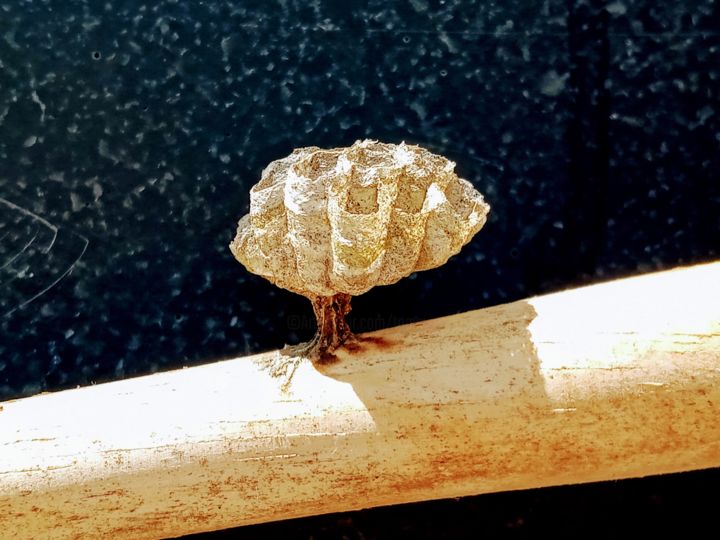 Fotografia zatytułowany „L'art dans la nature” autorstwa Maryse Renault, Oryginalna praca, Fotografia cyfrowa